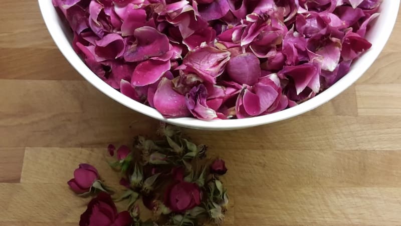 قیمت گل محمدی